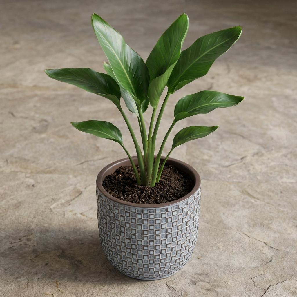 Mini pot relief blauw 7 cm hoog