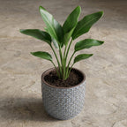 Mini pot relief blauw 7 cm hoog