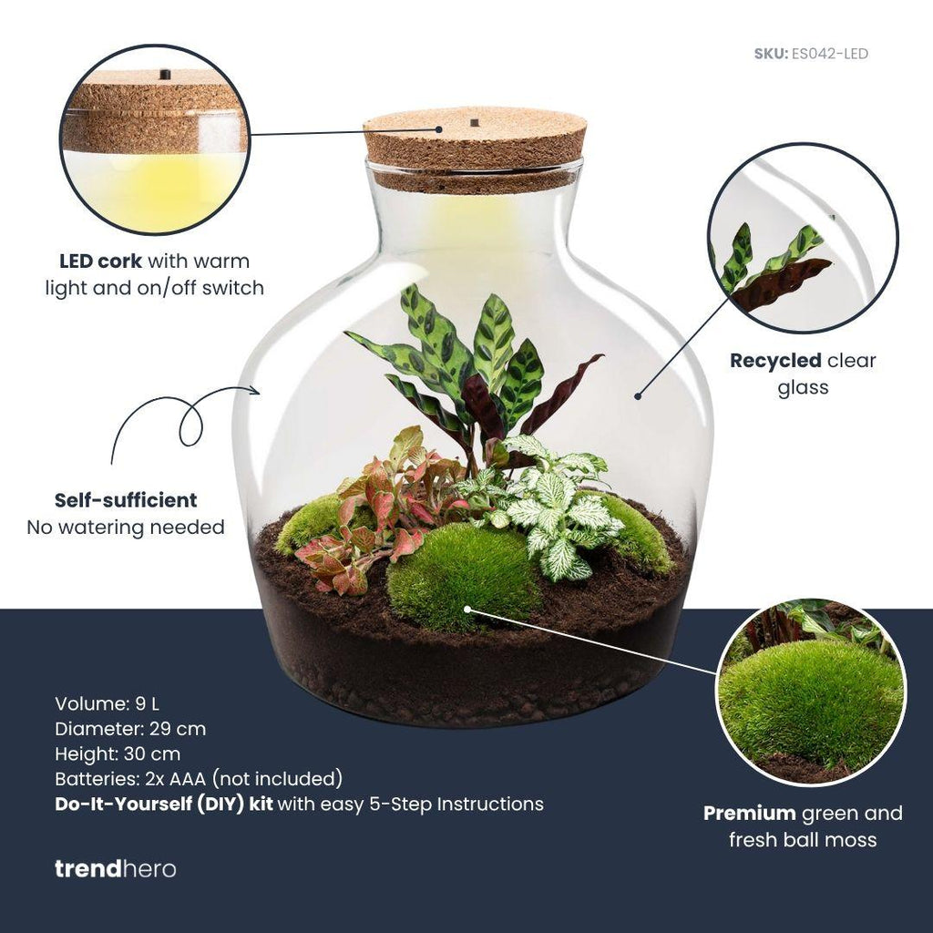 DIY Planten terrarium met licht - Fat Joe Red - Ø 29 cm ↑ 30 cm - No Tools
