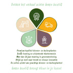 Plant op Stam - Rosmarinus officinalis - Terras Plant - Bladhoudend - Winterhard - Paarse Bloem - Pot 19cm Hoogte 90cm