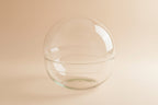 Terrarium bolglas tweedelig - Dome - Ø 20 cm ↑ 20 cm