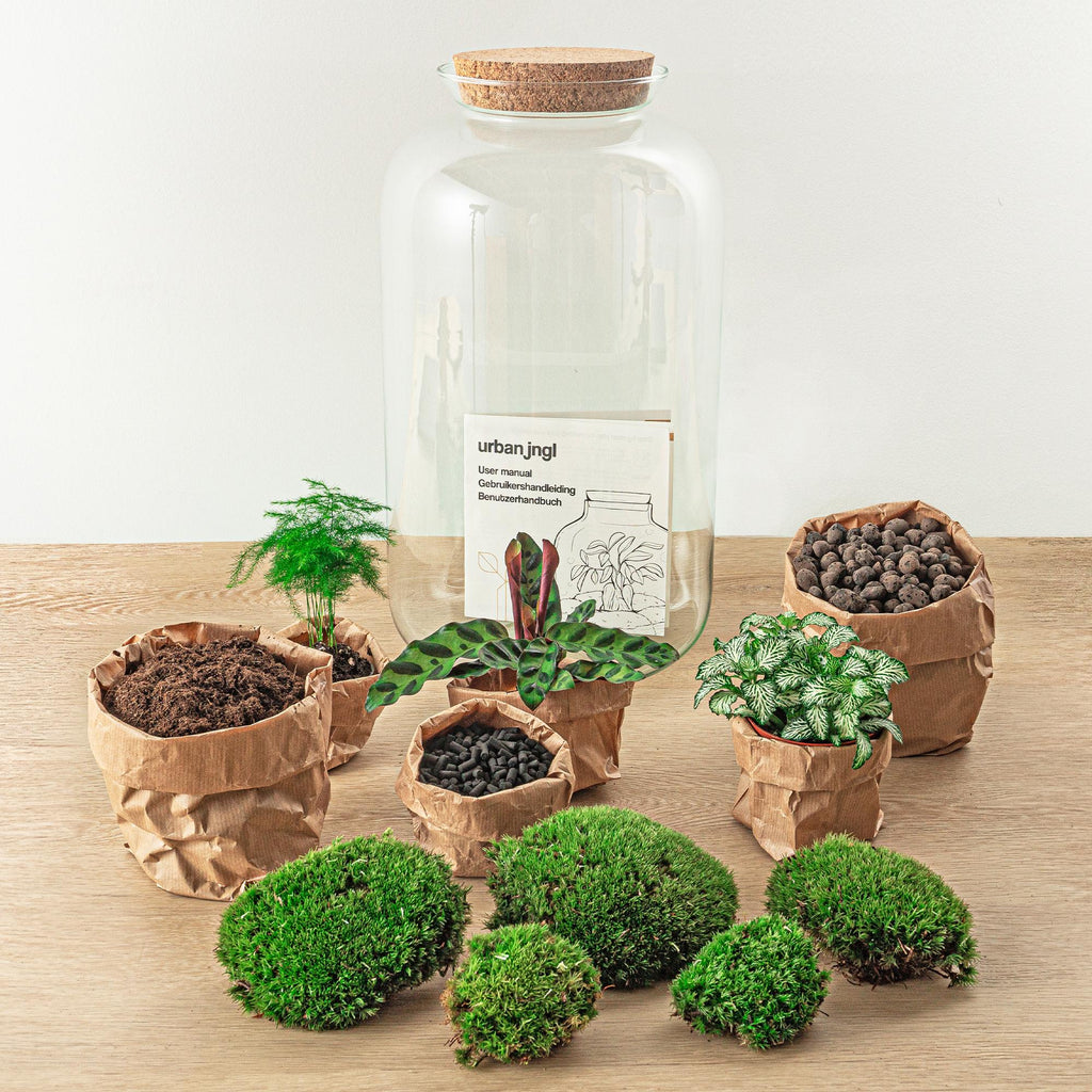 DIY Planten terrarium met licht - Sven XL Botanical - Ø 23 cm ↑ 43 cm - Rake + Shovel + Tweezer + Scissors