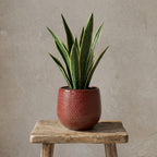 Pot Gabriel rond bordeaux D14