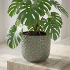 Mini pot relief groen 7 cm hoog!