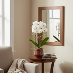 Witte Niagara Falls orchidee + Moonstone burgundy sierpot – potmaat Ø12cm | bloeiende kamerplant – vers van de kweker