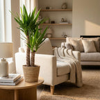 Yucca Elephantipes met Zeegras mand naturel - 90cm - Ø21