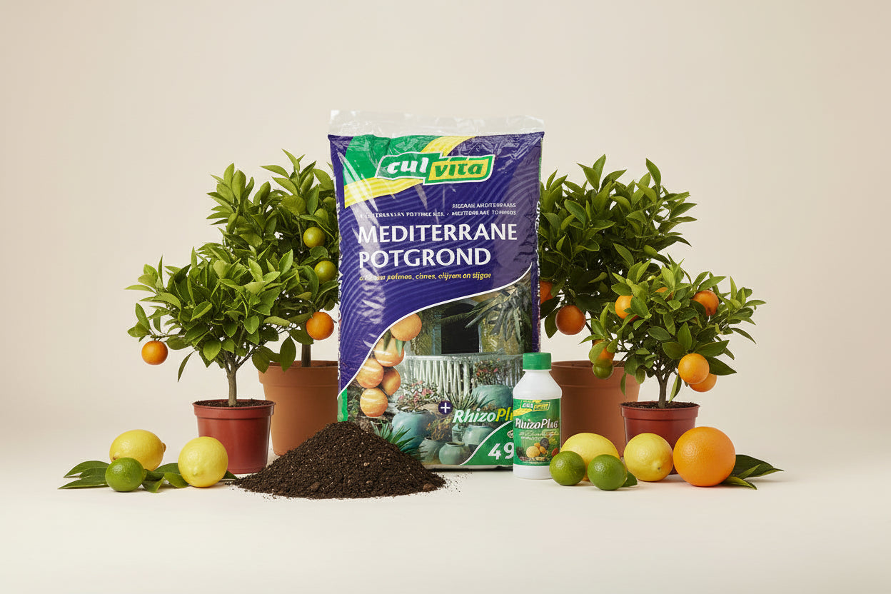 Culvita - Mediterrane Potgrond 40 Liter inclusief RhizoPlus - potgrond mediterrane planten o.a. geschikt voor olijfbomen, citrus en palmen