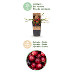 Fruitplant - 2x Vaccinium mac. Early Black - Cranberry - Winterhard - Blauwe Bes - 2 Planten - Pot 15cm - Hoogte 50cm