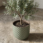 Mini pot relief groen 7 cm hoog!