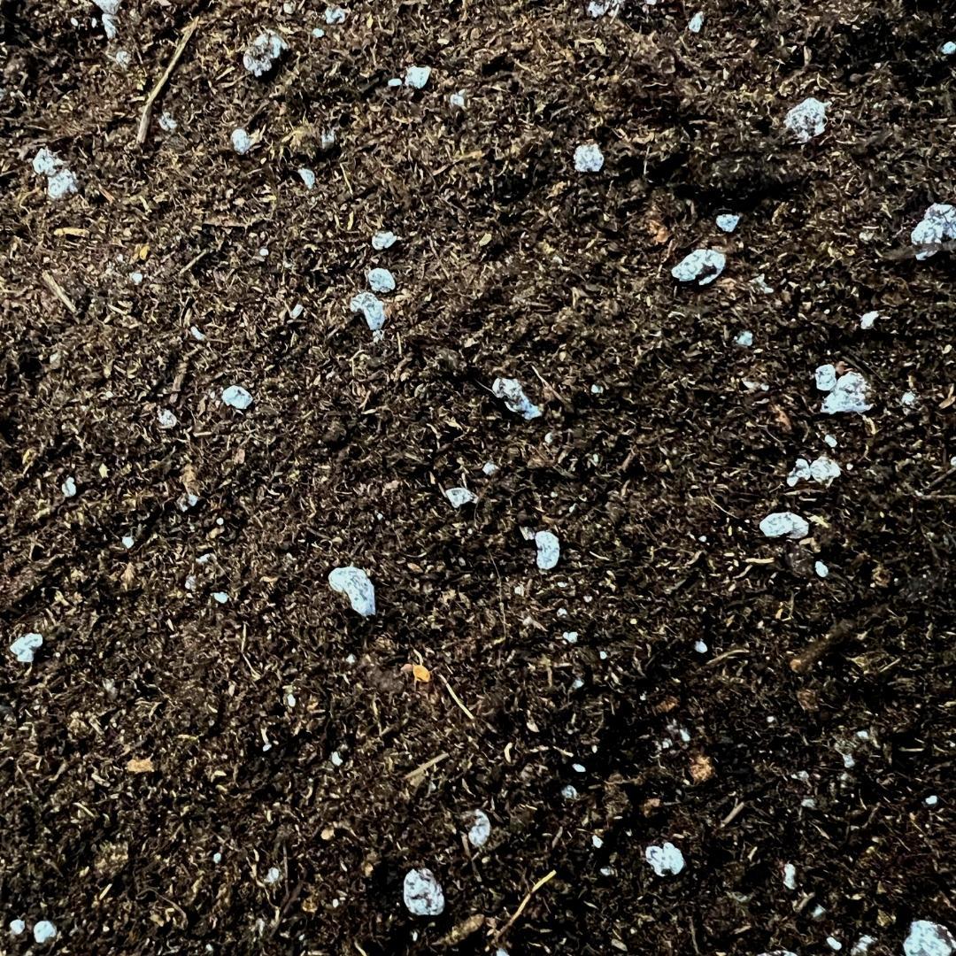 Culvita - Anthurium en Varengrond 5 liter - potgrond geschikt voor Anthurium en Varens