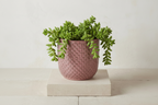Mini pot relief roze 7cm hoog
