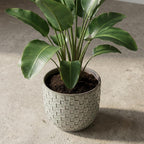 Mini pot relief wit 7cm hoog