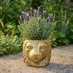 Planter Leeuw D11/13x10cm - Goud - D11/13x10cm