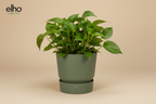Pot elho Greenville Round groen - D18 x H17