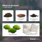 Planten terrarium navulling & startpakket - Maat L/XL