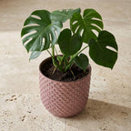 Mini pot relief roze 7cm hoog