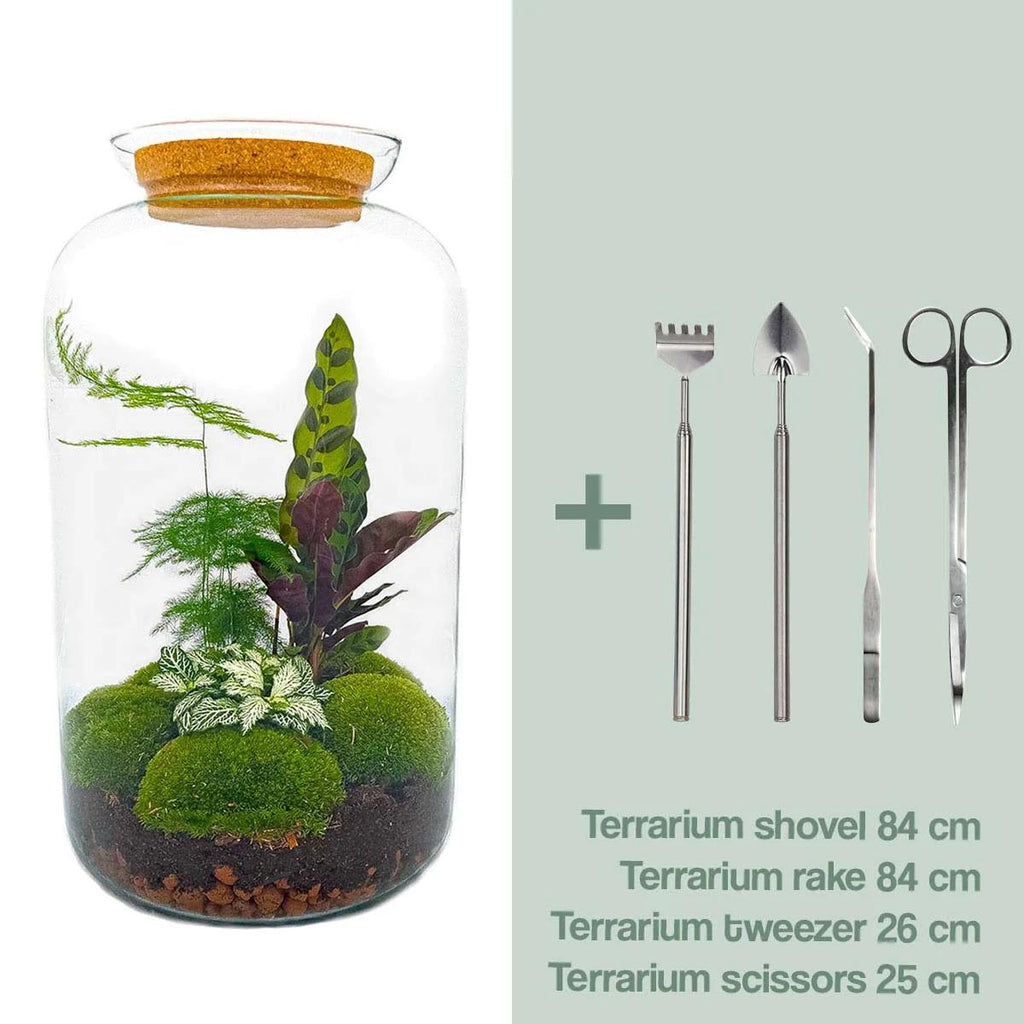 DIY Planten terrarium met licht - Sven XL Botanical - Ø 23 cm ↑ 43 cm - Rake + Shovel + Tweezer + Scissors