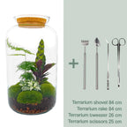 DIY Planten terrarium met licht - Sven XL Botanical - Ø 23 cm ↑ 43 cm - Rake + Shovel + Tweezer + Scissors