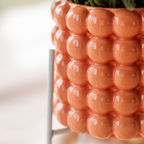 Plantenset Poppy Orange Orchids | Oranje orchidee Bolzano incl. keramieken sierpotten