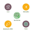 Kamerplant 2 STUKS- Phlebodium aureum Blue Star - Blauwe Varen - Huisdiervriendelijk - Blauw - 2 Planten - Pot 12cm - Hoogte 25-30cm