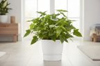 Pot elho Greenville Round wit - D39 x H37
