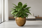 Pot Fabien Old Camel