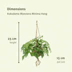 Kokodama Monstera Minima Hang (Gatenplant) - 2 STUKS - Ø15cm - ↕25cm