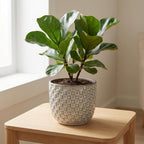 Mini pot relief wit 7cm hoog