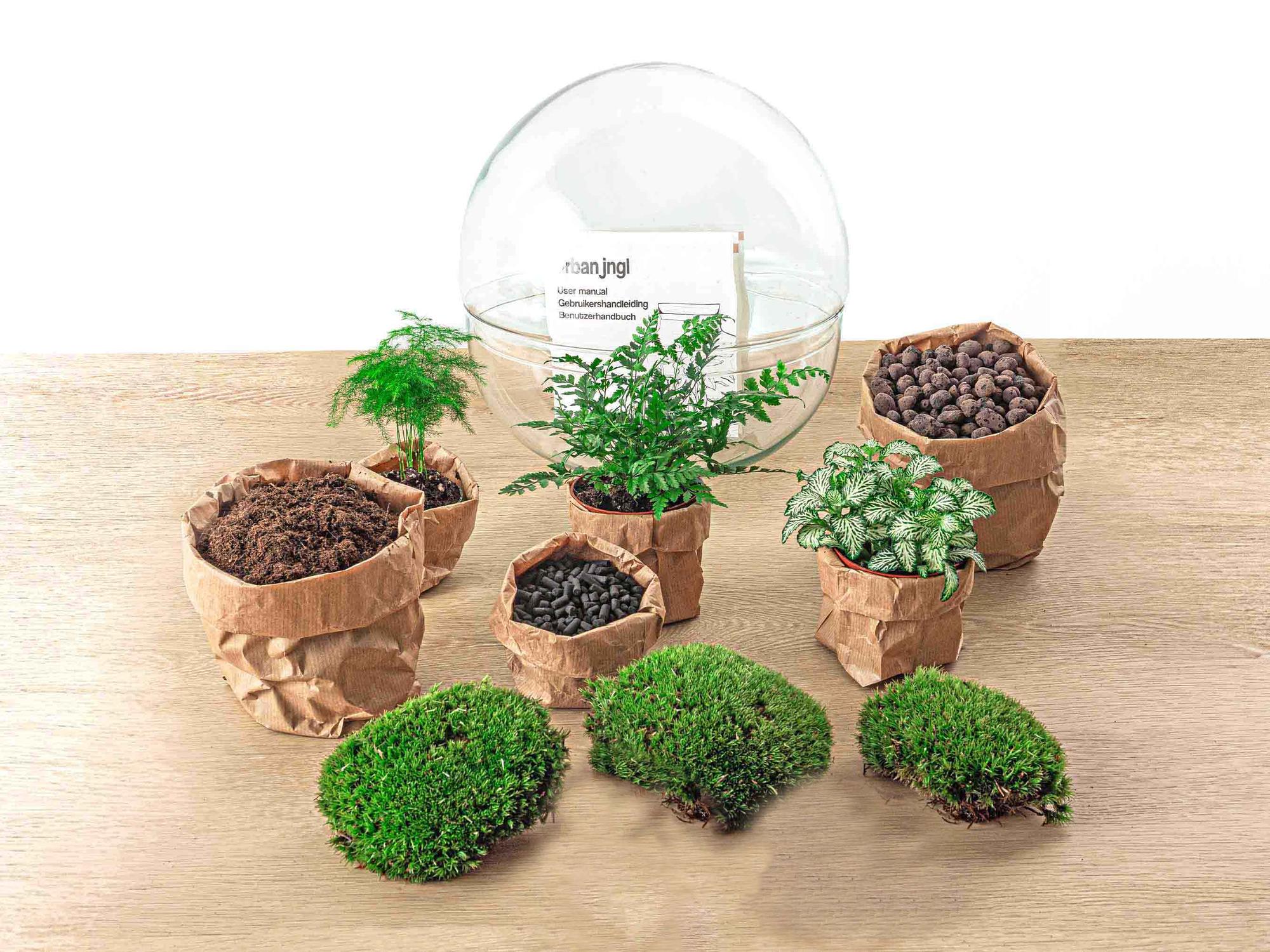 DIY Planten terrarium tweedelig bolglas - Dome XL -Ø 28 cm ↑ 28 cm - No tools