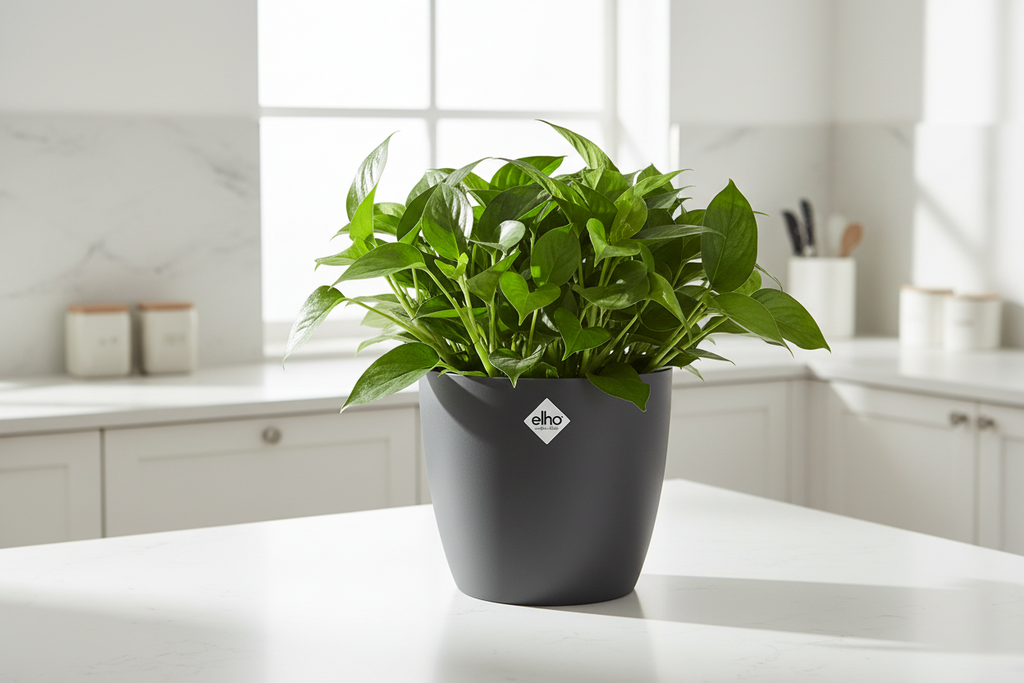 Pot elho Brussels Round Antraciet D20 x H19