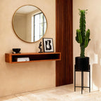 Euphorbia eritrea - Afrikaanse melkboom - Weinig onderhoud - Groen - 1 - Pot 19cm - Hoogte 70cm