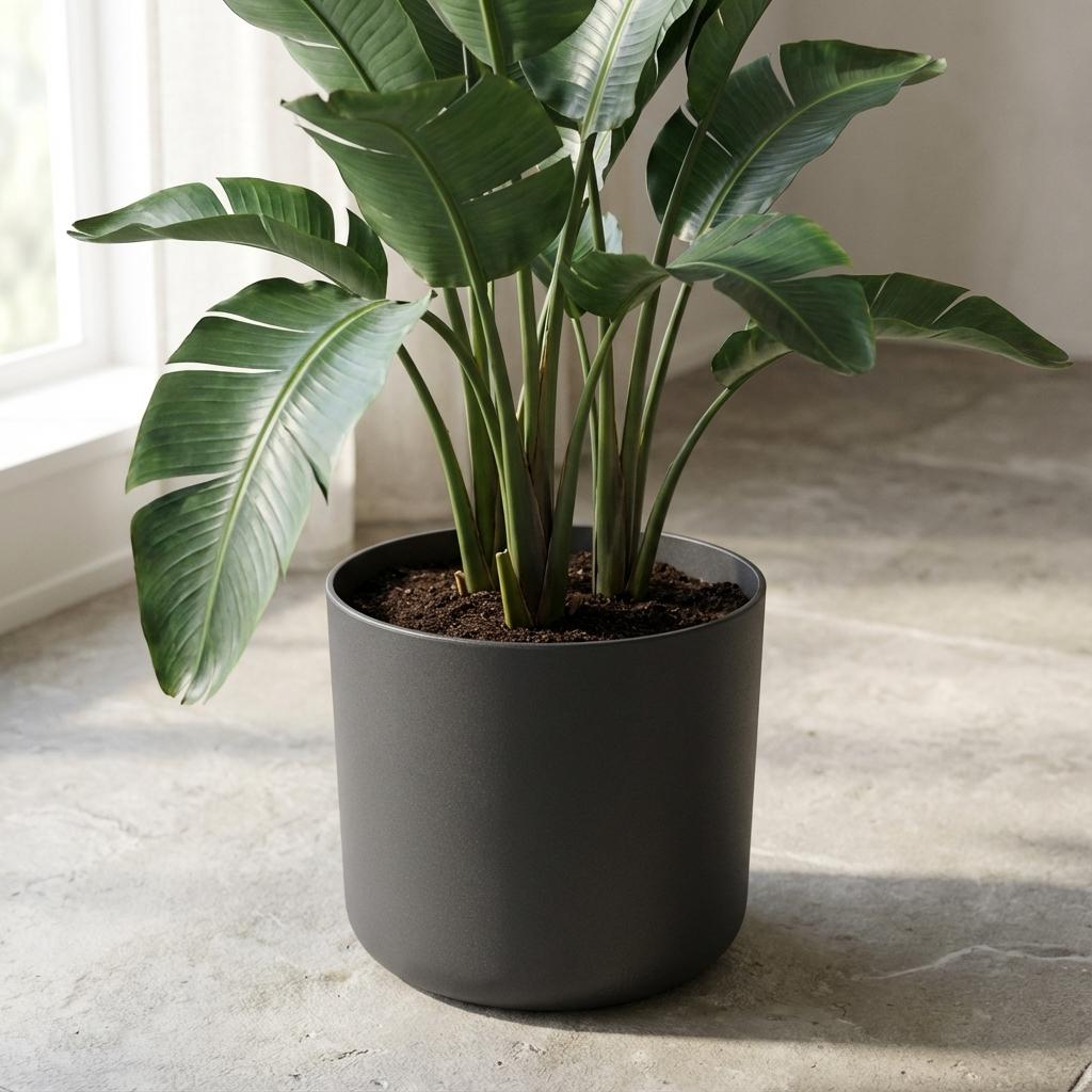 Elho B.for soft Antraciet - 25cm