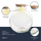 Terrarium fles (met) verlichting - Teddy - Ø 25 cm ↑ 26,5 cm - Zonder LED-kurk