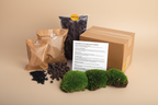 Planten terrarium navulling & startpakket - Maat L/XL