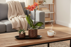 Giftset Leopard | Bolzano orchidee oranje Ø9cm + groene plant Ø6cm – incl. leopard sierpotten & zwart dienblad – vers van de kweker