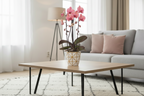Zalmroze orchidee potmaat Ø12cm | Narbonne | bloeiende kamerplant - vers van de kweker