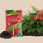 Culvita - Anthurium en Varengrond 5 liter - potgrond geschikt voor Anthurium en Varens