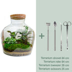 DIY Planten terrarium met licht -  Fat Joe - Ø 29 cm ↑ 30 cm - Rake + Shovel + Tweezer + Scissors