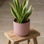 Pot relief roze D13,5