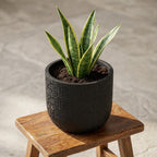 Capi Nature Skin Pot Bol Antraciet - D17cm - H15cm