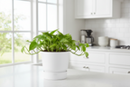 Pot elho Greenville Round wit - D18 x H17