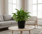 Pot elho Greenville Round zwart - D30 x H28
