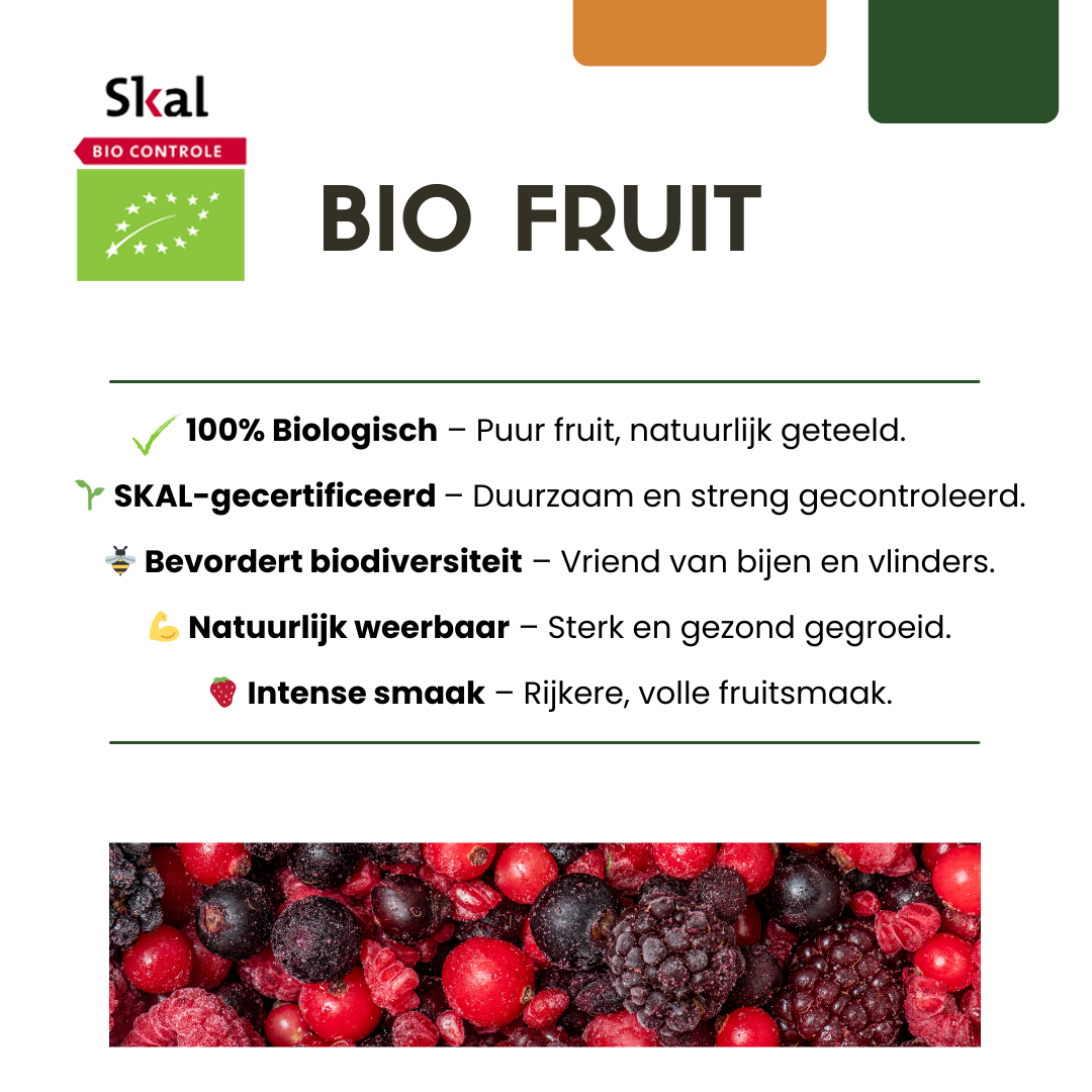 3 x Bosbessenplanten BIO - Ø 13 cm - ↨ 20 cm