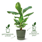 Pot elho Greenville Round grijs - D18 x H17