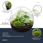 DIY Planten terrarium tweedelig bolglas - Dome XL -Ø 28 cm ↑ 28 cm - No tools