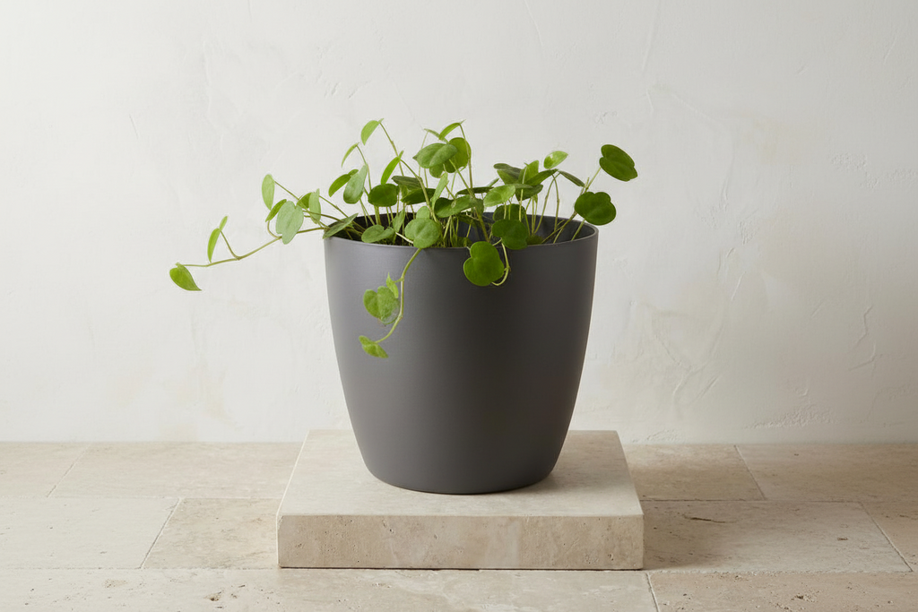 Pot Brussels D07x6cm - Antraciet - D07x6cm