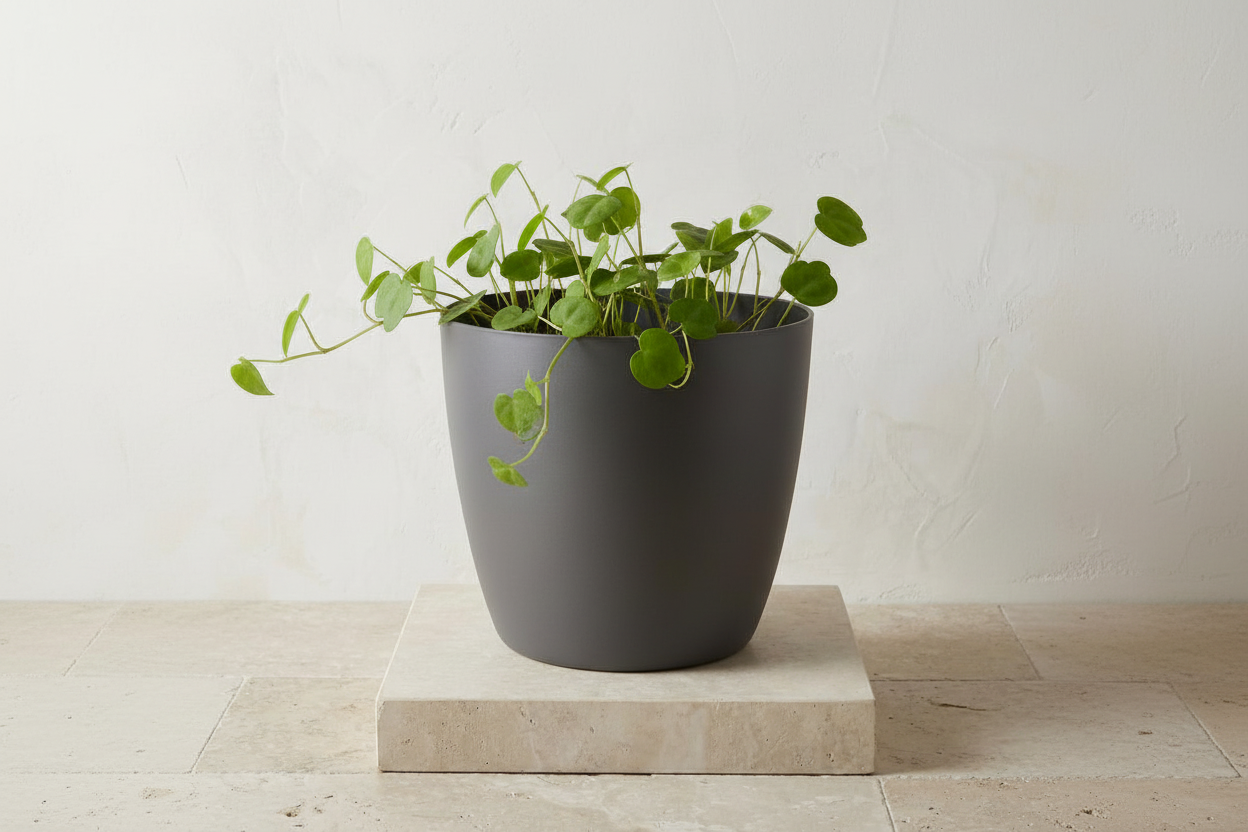 Pot Brussels D07x6cm - Antraciet - D07x6cm