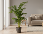 Pot elho Brussels Round Antraciet D30 x H27