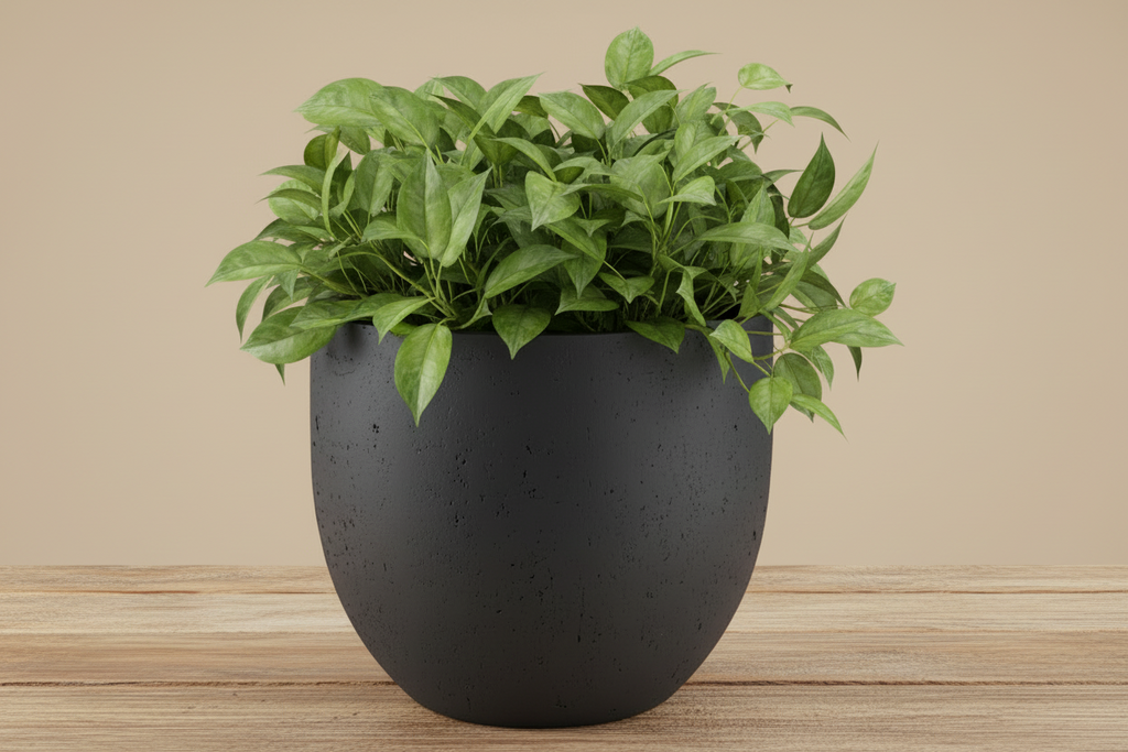 Pot Grigio New Egg Antraciet - D36 x H31