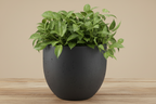Pot Grigio New Egg Antraciet - D36 x H31